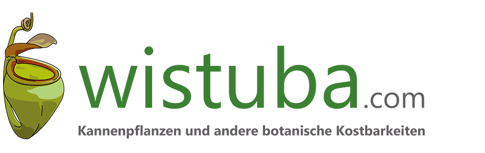 Wistuba Import