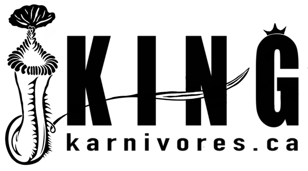 King Karnivores Logo