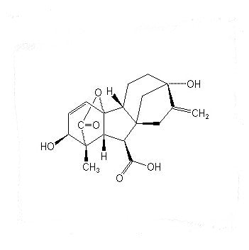 Gibberellin A3 (gibberellic acid, GA3)