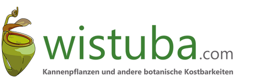 Wistuba Import